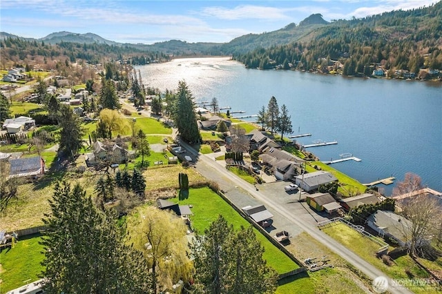 birds eye view of property featuring a water and mountain view