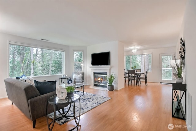 living room featuring a healthy amount of sunlight, a tiled fireplace, and light hardwood / wood-style flooring