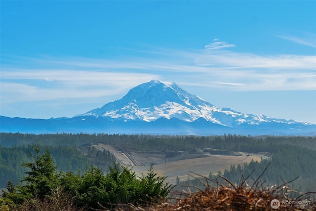 mountain view with a wooded view