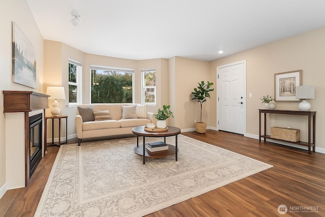 3350 NW Ave Unit 102, Bellingham, WA 98225 - living room with baseboards, dark wood-style floors, and a glass covered fireplace