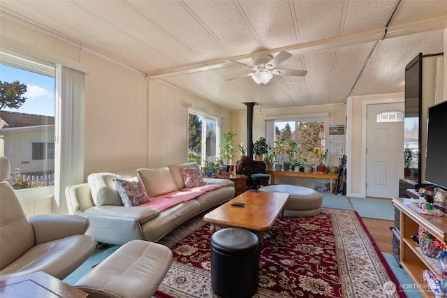 living room featuring ceiling fan, wood-type flooring, and a wood stove