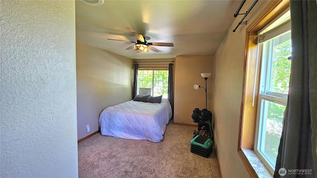 617 W Horton Way Unit 207, Bellingham, WA 98226 - bedroom with carpet, a textured wall, baseboards, and a ceiling fan