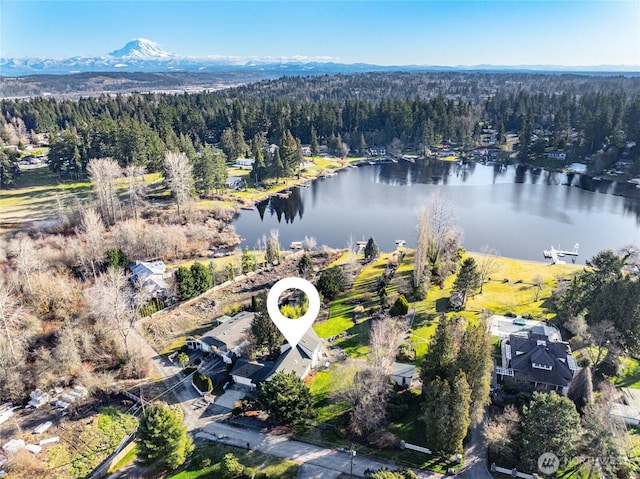 birds eye view of property with a water view and a view of trees