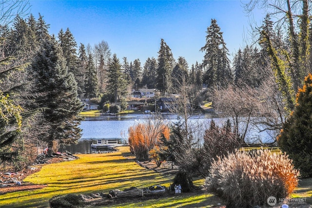 view of water feature with a dock