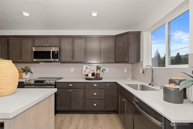 kitchen featuring sink, tasteful backsplash, dark brown cabinets, appliances with stainless steel finishes, and light hardwood / wood-style floors