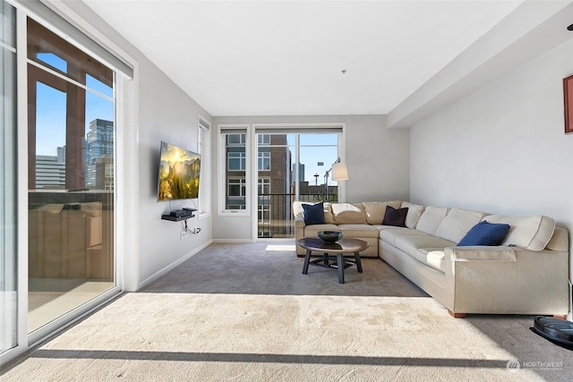 living room with carpet floors