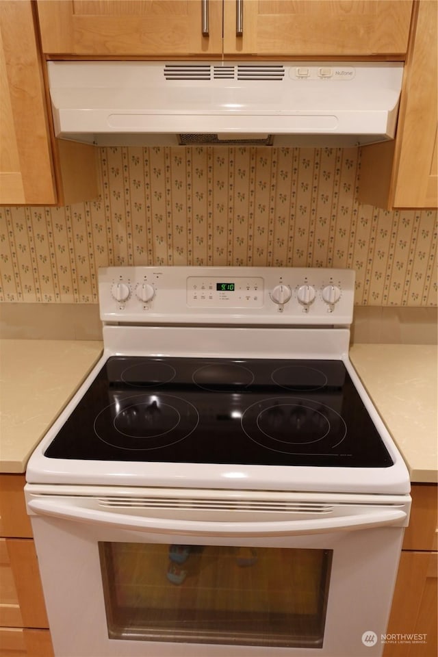 details featuring backsplash and white range with electric stovetop