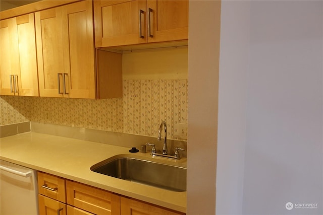 kitchen featuring sink and dishwashing machine