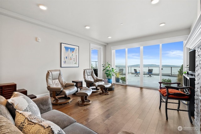 living area featuring recessed lighting and wood finished floors