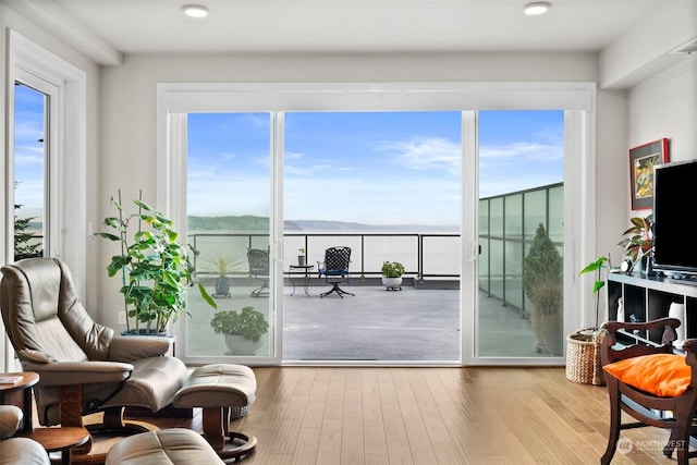 doorway to outside featuring light wood finished floors