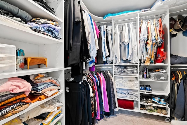 spacious closet with carpet