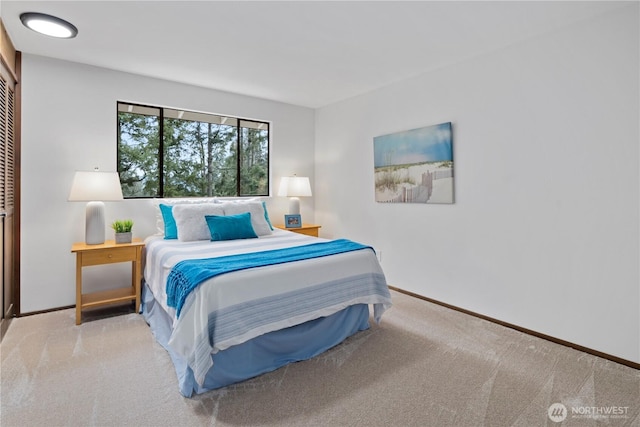 bedroom featuring carpet flooring and a closet