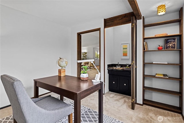 carpeted home office with sink