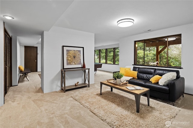 view of carpeted living room