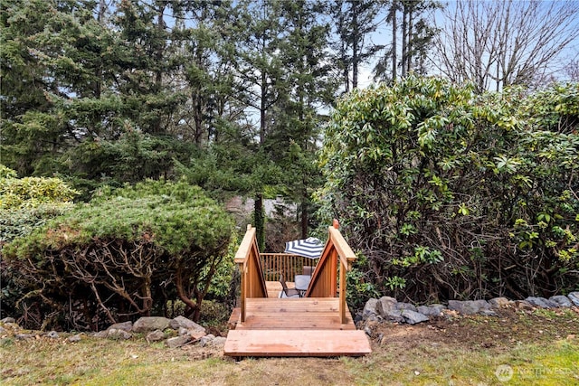 view of yard with a wooden deck