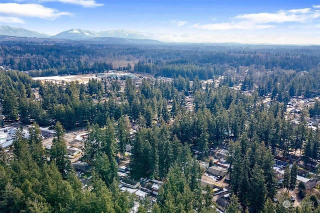 birds eye view of property featuring a mountain view