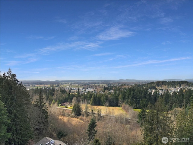 view of mountain feature featuring a wooded view