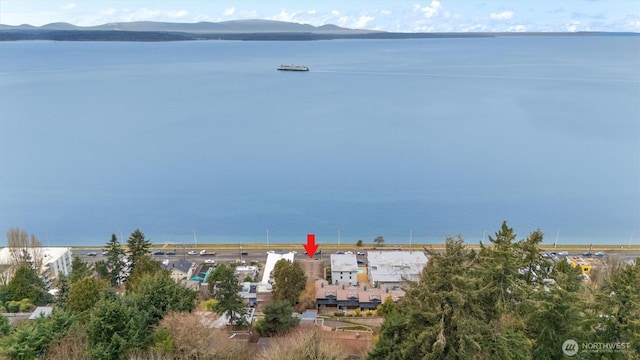 water view with a mountain view