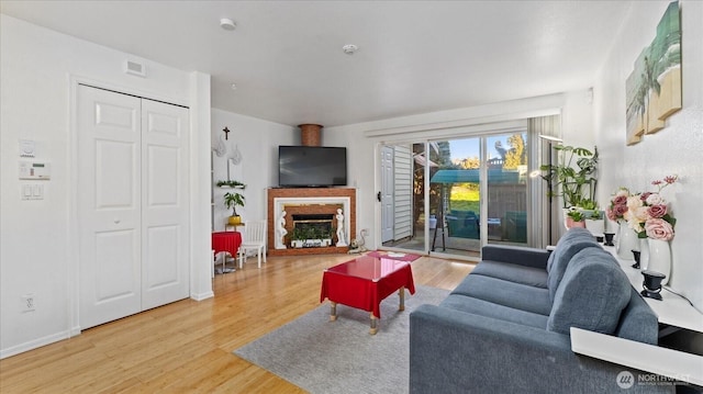 living room featuring wood-type flooring