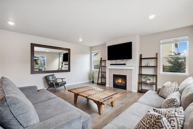 living room with a fireplace and wood-type flooring