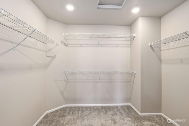 walk in closet with carpet