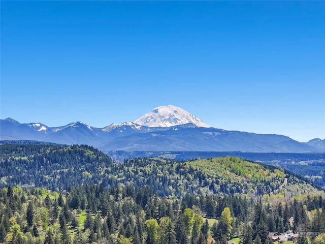 view of mountain feature