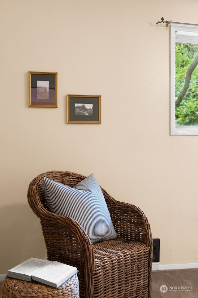 living area with carpet floors