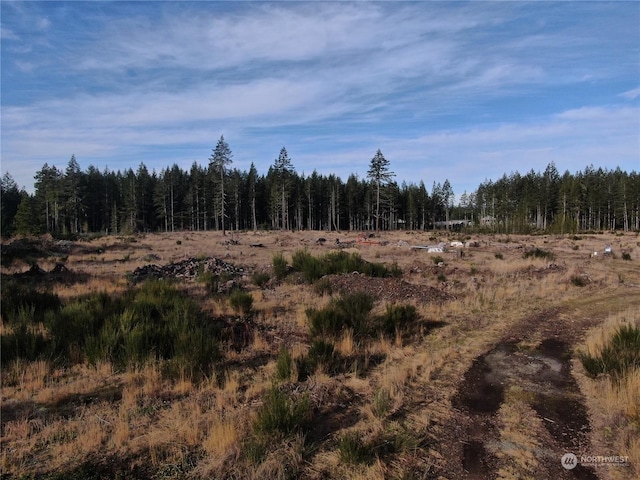 view of local wilderness