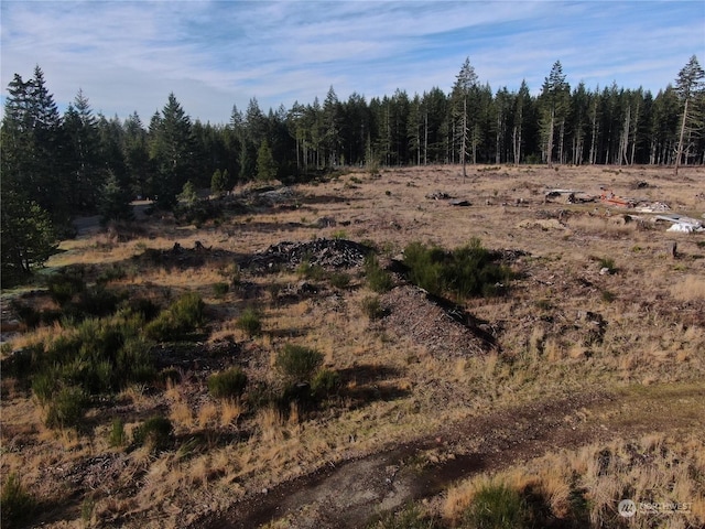 view of local wilderness