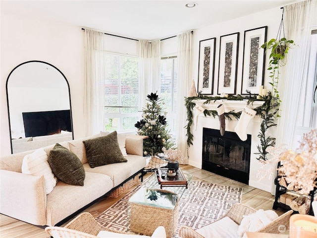 living room featuring light hardwood / wood-style flooring