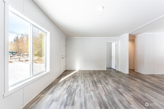 spare room featuring wood-type flooring