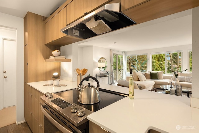 kitchen featuring hardwood / wood-style flooring, extractor fan, and kitchen peninsula