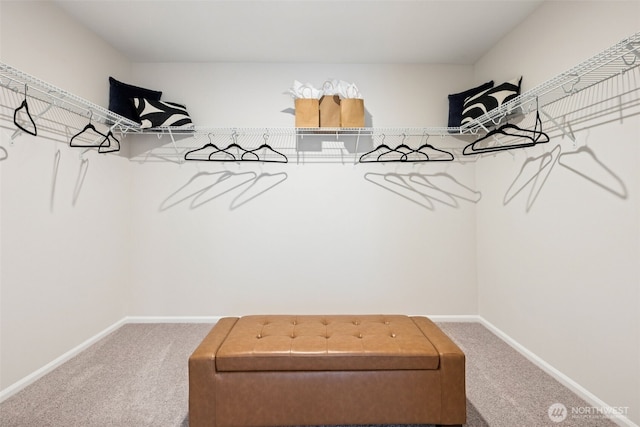 287 Wind River Ct, Chehalis, WA 98532 - spacious closet with carpet flooring