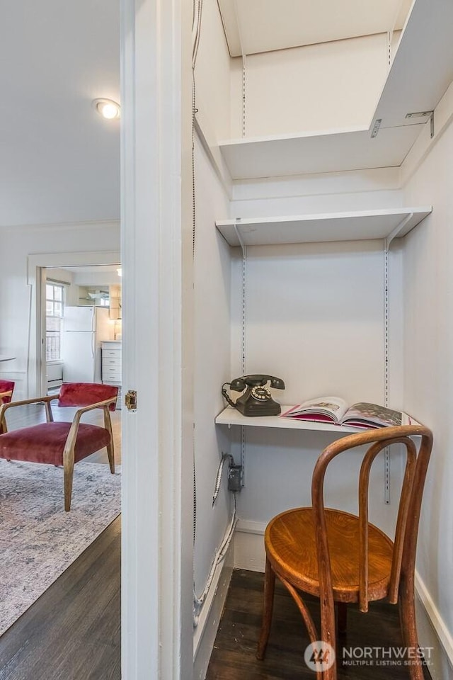 spacious closet featuring dark wood finished floors