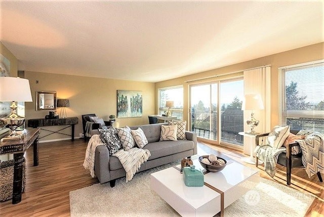 living room with hardwood / wood-style floors