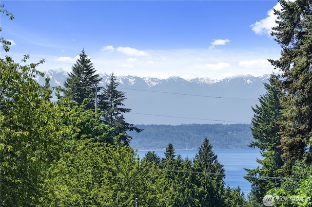 property view of mountains with a water view