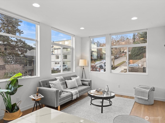 living room with hardwood / wood-style flooring