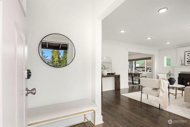 interior space featuring dark wood-type flooring and recessed lighting