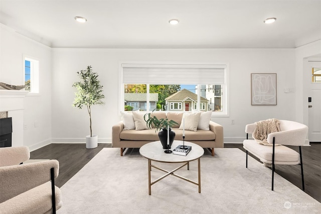 living room with a fireplace, plenty of natural light, and wood finished floors