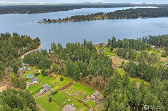 birds eye view of property featuring a forest view and a water view