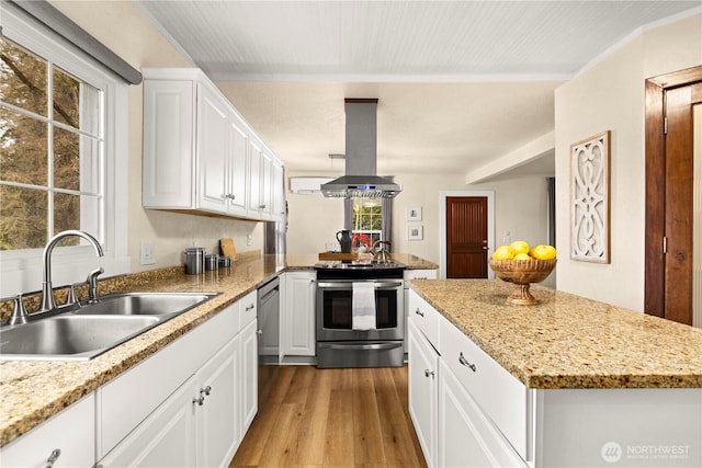 kitchen with wood finished floors, island exhaust hood, a sink, white cabinets, and appliances with stainless steel finishes