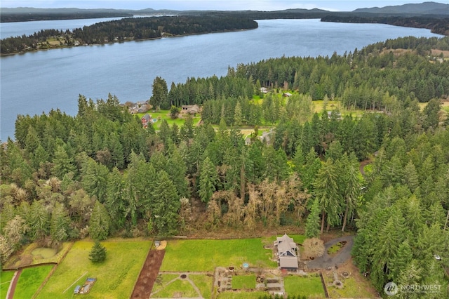 drone / aerial view featuring a forest view and a water view