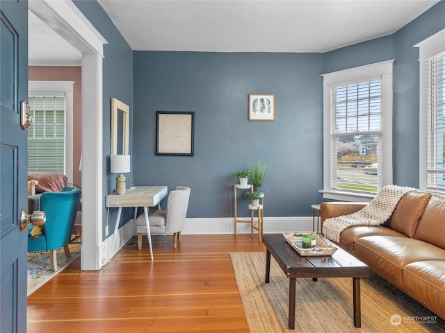 living room featuring hardwood / wood-style flooring