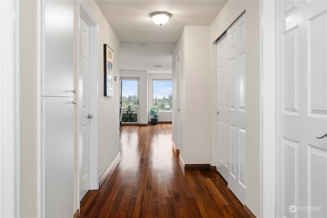 hall with dark hardwood / wood-style floors