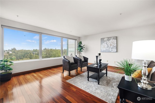 living room featuring wood-type flooring