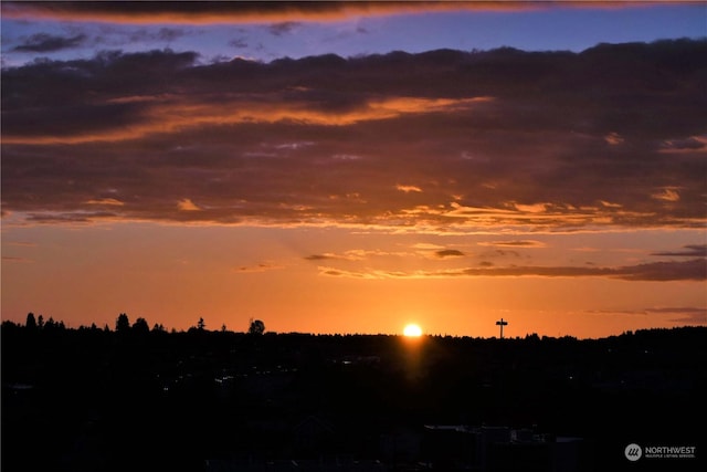 view of nature at dusk