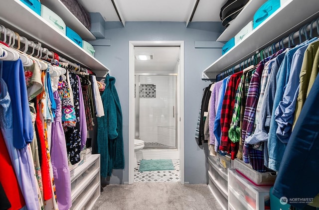 spacious closet featuring carpet flooring