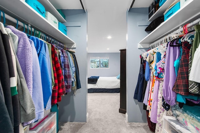 walk in closet featuring light carpet