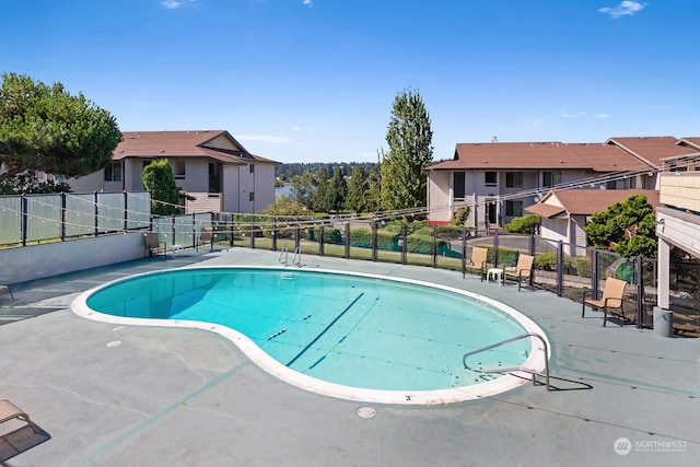 view of swimming pool with a patio