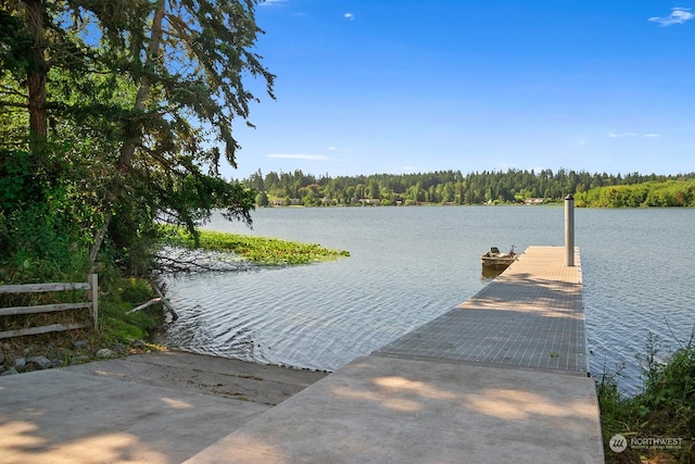 dock area featuring a water view